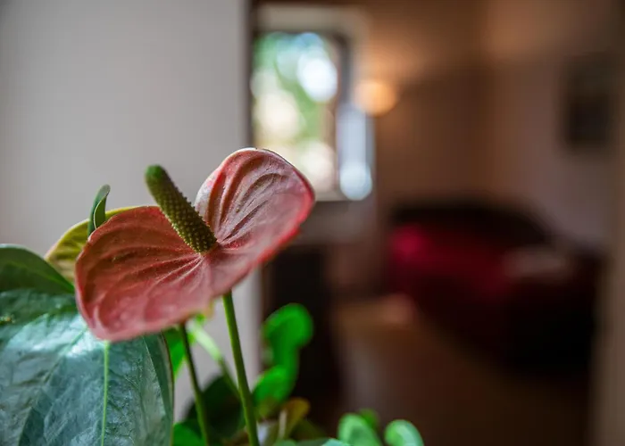 Inferno E Paradiso Gradara